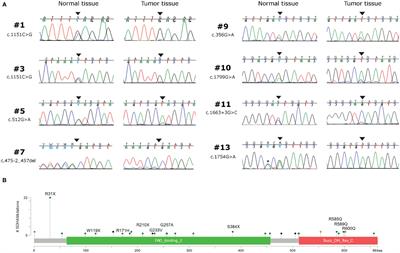 SDHA Germline Variants in Adult Patients With SDHA-Mutant Gastrointestinal Stromal Tumor